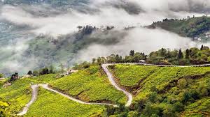 Vehicle Tracking Solutions in Siliguri